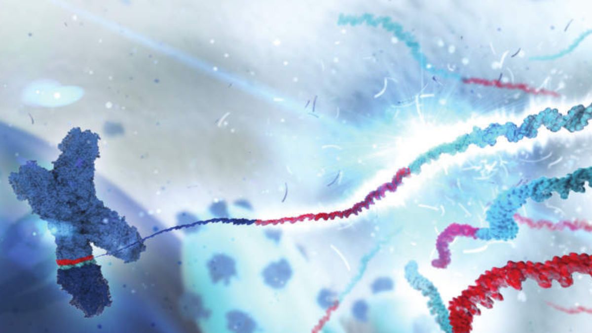 IAseq Targeted RNAscan Panel